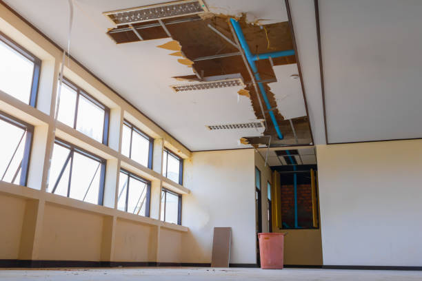 Best Emergency water damage restoration  in Von Ormy, TX