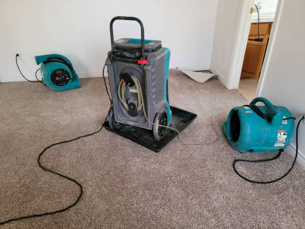 Best Basement water damage restoration  in Von Ormy, TX