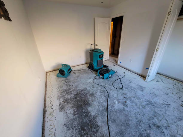 Best Sewage cleanup and water damage restoration  in Von Ormy, TX