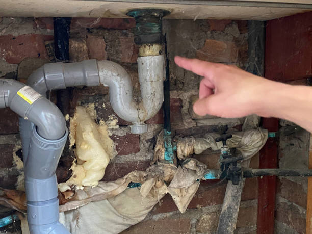 Best Flood restoration services  in Von Ormy, TX
