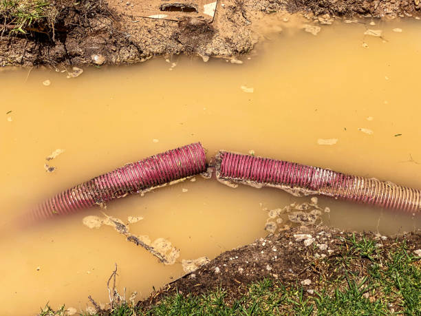Best 24/7 water damage repair  in Von Ormy, TX