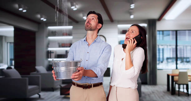 Water damage restoration mold remediation in Von Ormy, TX